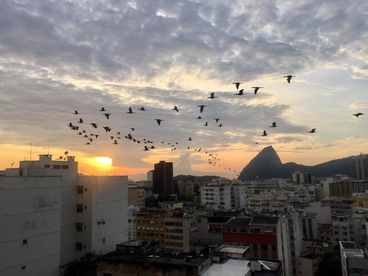 Loft Catete Appartement Rio de Janeiro Buitenkant foto